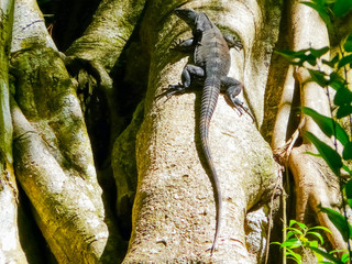 Cabo Blanco National Park, Puntarenas, Costa Rica