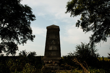 Campo