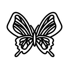 beautiful butterfly insect line style icon