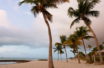 Beautiful sunrise at Smathers Beach with Palm Tree in foreground. Smathers Beach is the largest public beach in Key West, Florida, United States. It is approximately a half mile long