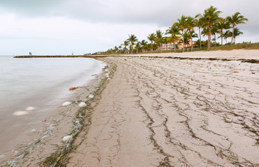 Smathers Beach, Key West Florida Key. The Florida Keys are a string of tropical islands stretching...