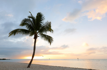 Obraz na płótnie Canvas Beautiful sunrise at Smathers Beach with Palm Tree in foreground. Smathers Beach is the largest public beach in Key West, Florida, United States. It is approximately a half mile long