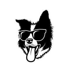 Border Collie dog wearing sunglasses - obrazy, fototapety, plakaty