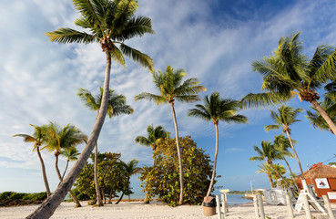 Beautiful sunrise at Smathers Beach with Palm Tree in foreground. Smathers Beach is the largest public beach in Key West, Florida, United States. It is approximately a half mile long