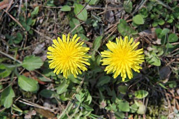 한국 인천시 남동구 인천대공원 입니다
