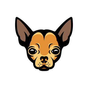 Chihuahua face - isolated vector illustration

