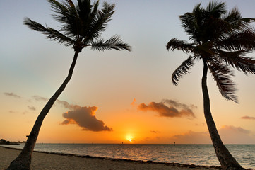 Palm Tree at Smathers Beach at Sunrise. Smathers Beach is the largest public beach in Key West, Florida, United States. It is approximately a half mile long