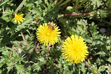 한국 인천시 남동구 인천대공원 입니다