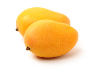 Mango on a white background