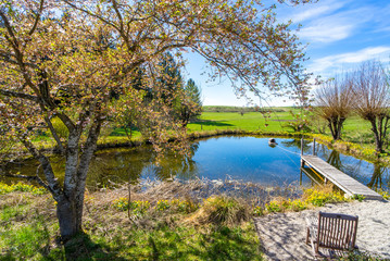 Schöner Teich mit Steg und altem Baum im Landkreis Starnberg - Oberbayern