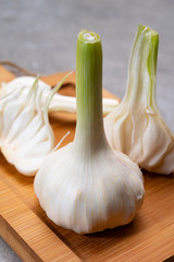 Fresh young heads of white garlic