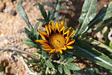 한국 인천시 남동구 인천대공원 입니다