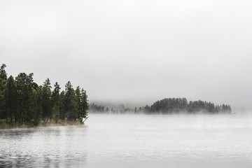 Fog-covered forest on the shore of a mountain lake in the Ulagansky District of the Altai republic, Russia