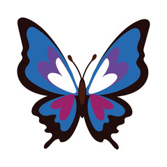 beautiful butterfly purple insect flat style icon