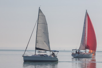 sailing competition at Lake Balaton
