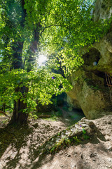 Fototapete bei efototapeten.de bestellen   