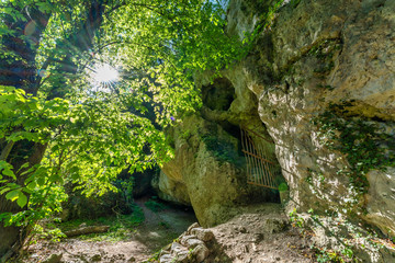 Fototapete bei efototapeten.de bestellen   