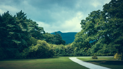 Beautiful scenic road on the gardens of Muckross house, Killarney in Ireland.