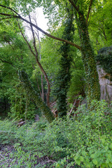 Fototapete bei efototapeten.de bestellen   