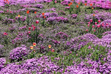 한국 인천시 남동구 인천대공원 입니다