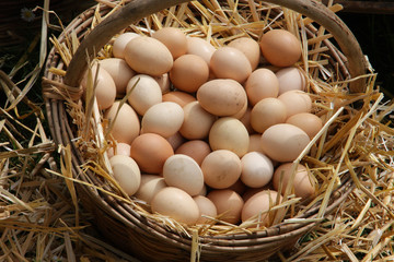 fresh eggs on sale in the market of organic products