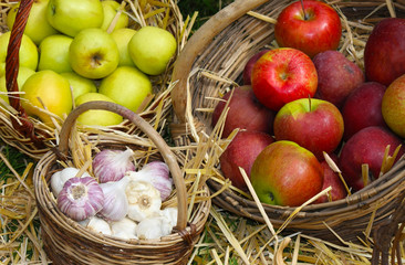 fresh apples and garlic on sale in the market of organic product