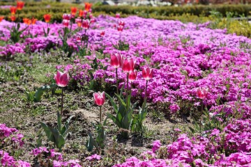 한국 인천시 남동구 인천대공원 입니다