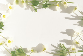 White background with flowers around the edges. Beauty spring background
