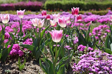 한국 인천시 남동구 인천대공원 입니다