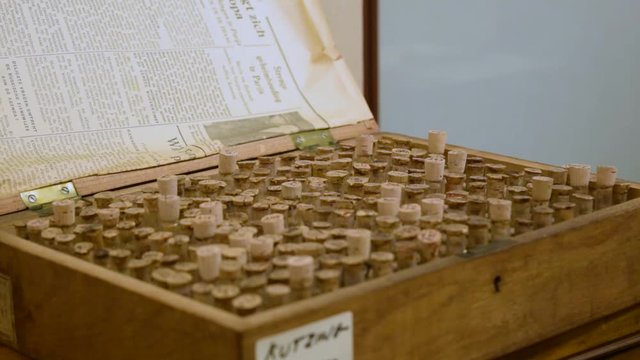 Scientist researching antique plant dna samples and taking phials to examine