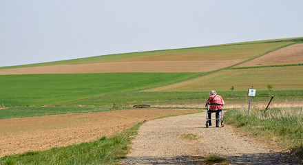 seniorin mit rollator auf feldweg