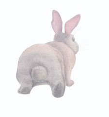 funny shy rabbit, watercolor illustration