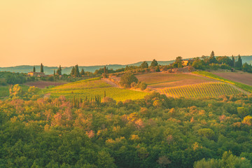 Summer sunset over the rolling hills with olive trees and vineyards. Travel destination Chianti, Tuscany