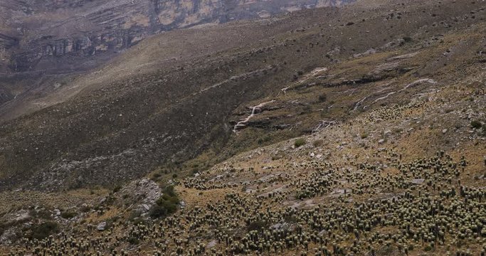 Maountain landscape with paramo vegetation in Boyaca, Colombia, Sierra Nevada del Cocuy range