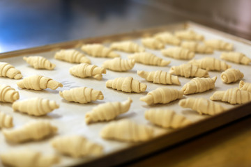 Fototapeta na wymiar produzione dei croissant:; impasto crudo pronto per essere infornati nella telia