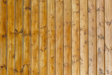 Background of wooden texture