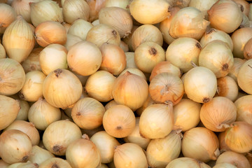 Organic fresh Onions in the market, vegetable background concept.
