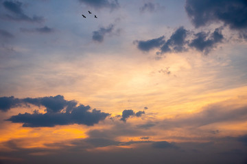 Sunset Sky Background