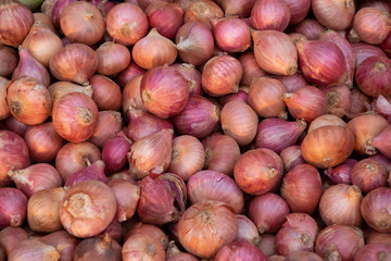 Shallots. Fresh Group of shallot in market, Shallot background.