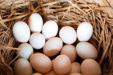 Many eggs on a straw.