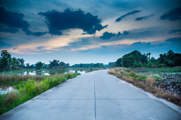 road rice field evening