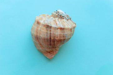 Summer vacation beach rest and medical protective mask, gloves, antiseptic on mint blue background. Coronavirus covid-19 travel. Flat lay. Copy space. pandemic quarantine self isolation, 2019-nCoV