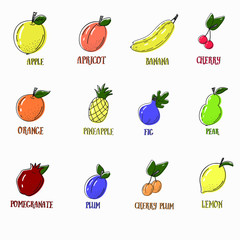 vector set of 12 fruits with the inscription of their name. Bright fruit