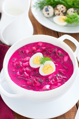 Traditional cold summer beetroot soup with vegetables in a white bowl, selective focus