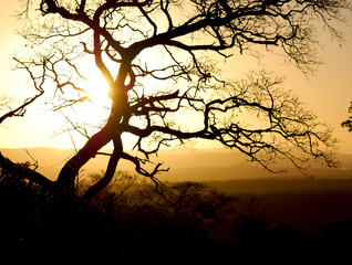 Safari Sunset, Kruger National Park - South Africa