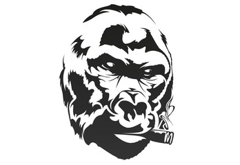 Smoking gorilla in one color. Vector illustration.