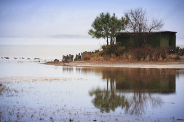 cabane pecheur littoral aquitain