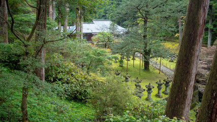 Beautiful scene of fresh green trees and stone lanterns in japanese temple garden , Nikko , Tochigi , background , copy space