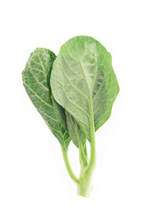 Green Kale, isolated on white background