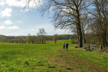 Landscapes near my home